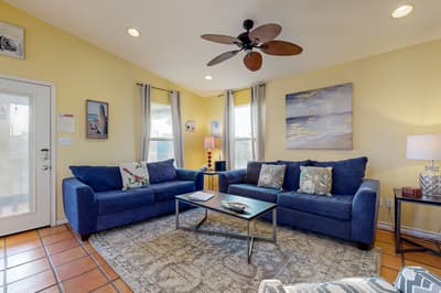 PC628: Rockin' Pelican